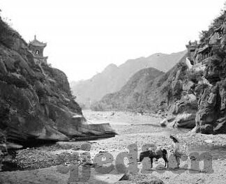 91麻豆精品国产专区在线观看-91 麻豆精品国产，探索本土剧情的魅力与深度