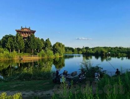 大象传媒免费网站-探索大象传媒免费网站的多元化内容与价值