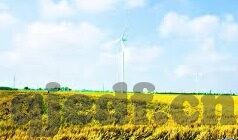 http:麻豆视频.com-多元视角下的网络文化现象与平台分析——麻豆视频的个案研究