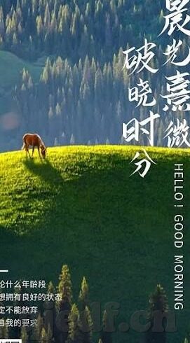 麻豆传媒下载-麻豆传媒，合法性争议与网络内容消费的反思