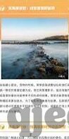 麻豆视频网站在线进入观看-探寻在线娱乐新风貌，麻豆视频网站的轻松体验