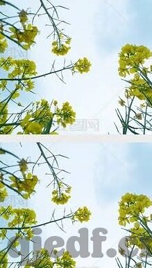 人妻无码一区二区三区免费-探索网络世界的边界，理性审视网络内容与个人成长