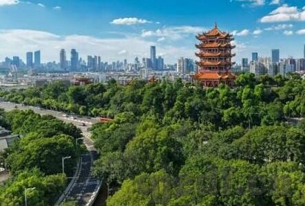 糖心app下载免费-网络安全视角下的应用下载，谨慎选择，远离潜在风险